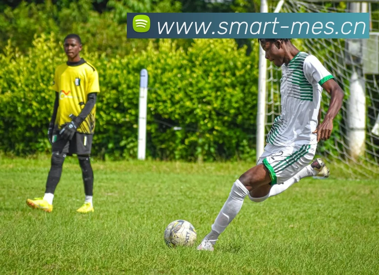 开云kaiyun网站服务体系